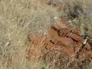 C'est là-bas qu'on doit aller, en mode milk-shake (1)