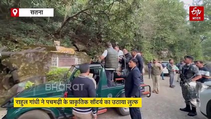 राहुल गांधी को भायीं पचमढ़ी की वादिया, सतपुड़ा टाइगर रिजर्व में जंगल सफारी की