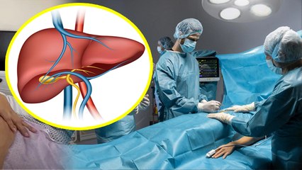 Deepika Kakkar Liver Cancer के बाद 22% Portion Cut, लीवर को दोबारा बनने में कितना समय लगता है?