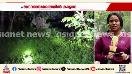 വടക്കാഞ്ചേരിയിൽ ജനവാസ മേഖലയിൽ കാട്ടാനയിറങ്ങി; കൃഷി നശിപ്പിച്ചു