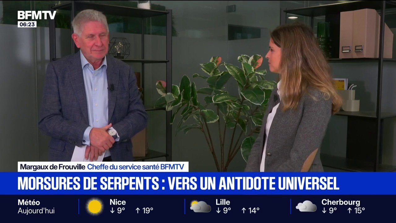Morsures de serpents: vers un sérum permettant de neutraliser plusieurs types de venins