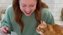 The reaction of a cat when a knife is placed against the body of a fake cat can vary