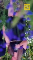 New hot My Domineering Prince (2025) Full