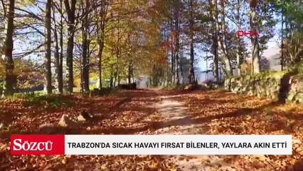 Trabzon'da sıcak havayı fırsat bilenler, yaylara akın etti