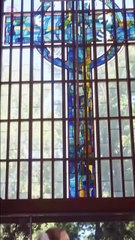 Bound by Honor - Married to a mafia heir, she must choose love or survival!