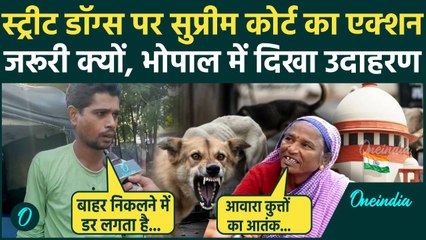 Supreme Court Stray Dogs Order: आवारा कुत्तों पर सुप्रीम कोर्ट का एक्शन, जनता क्या बोली | वनइंडिया