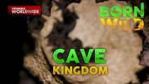 Kuweba sa Bohol, may misteryosong taga-bantay?! | Born to be Wild