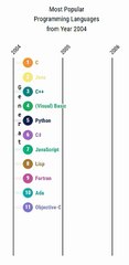 Most Popular Programming Languages Survey from Year 2005