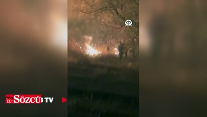 Türkiye-Ermenistan sınırında çıkan örtü yangını söndürüldü