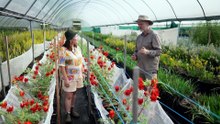 Gardening Australia 2025 Episode 37