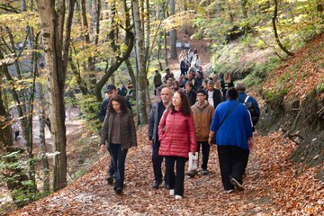 Adeta bir “orman denizi”: Yedigöller'de ziyaretçi yoğunluğu!