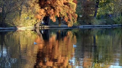 Directia  5 ,,Daca ai stii shorts  Piano , classical  guitar - #gigiandreciucvoce #piano #adriandanaila #classicalguitar