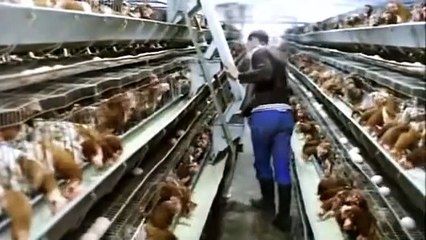 La guerre des polices - Claude brasseur - Film complet en français - 1979