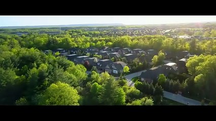 Film : La Saison des Requins (2020) de Mickael Madsen (USA) film entier en français