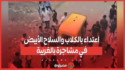 اعتداء بالكلاب والسلاح الأبيض في مشاجرة بالغربية.. والداخلية تتحرك