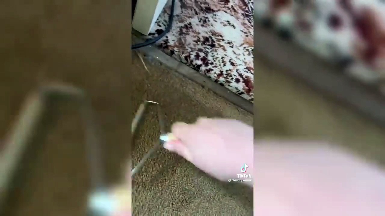 1000051504_11