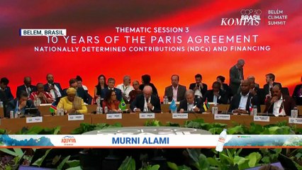 COP 30 di Brasil, Pemerintah Indonesia Siapkan Rp16 Triliun untuk Pulihkan Hutan Tropis