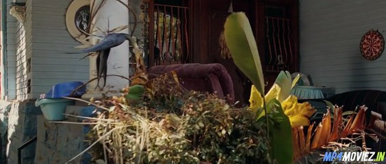 Drag Me To Hell – Full Movie Hollywood Hindi Dubbed