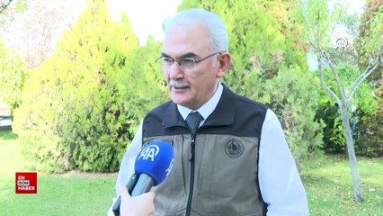 Milli Ağaçlandırma Günü için hedef 15 milyon fidanın sahiplenilmesi