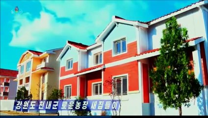 Mudança para novas moradias na Fazenda Roun do condado de Chonnae, província de Kangwon