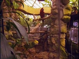 The Girls Next Door S02E13 - The Age Of Aquarium