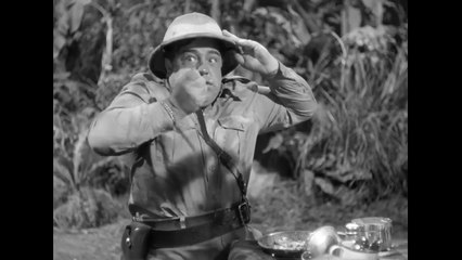 Африка зовёт (1949) США