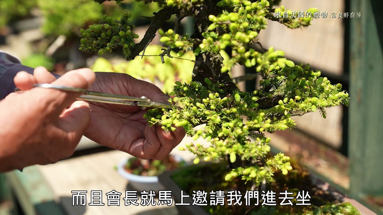 來 ep1