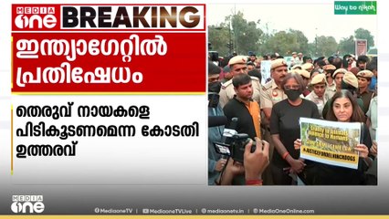 തെരുവ് നായകളെ പിടികൂടണമെന്ന സുപ്രിംകോടതി വിധി; ഇന്ത്യ ഗേറ്റിൽ മൃഗസ്നേഹികളുടെ പ്രതിഷേധം