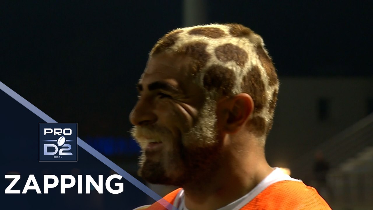 PRO D2 – Le Zapping de la j10– Saison 2025-2026
