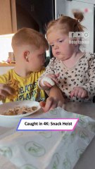 Sneaky Snack Attack! Little Girl Steals a Bite Like a Pro 😆|| Heartsome 💖