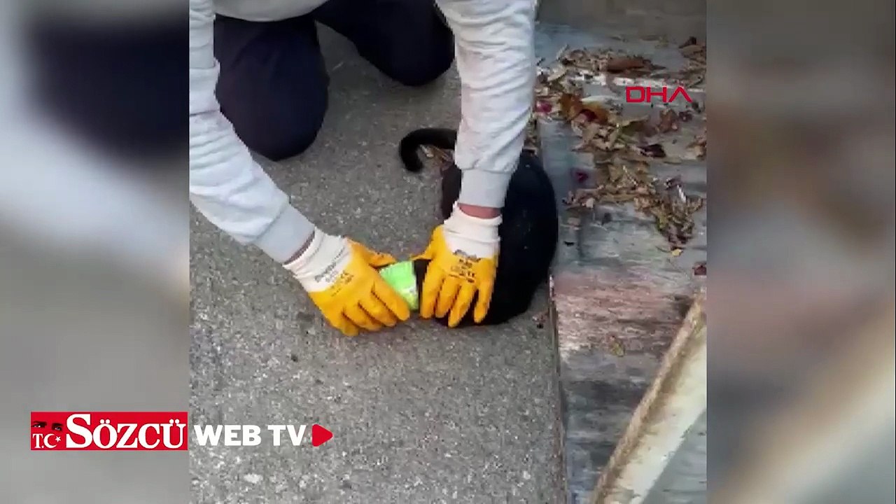 Başı konserve kutusuna sıkışan kediyi belediye temizlik personeli kurtardı