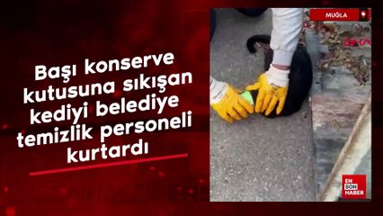 Muğla'da başı konserve kutusuna sıkışan kediyi belediye temizlik personeli kurtardı
