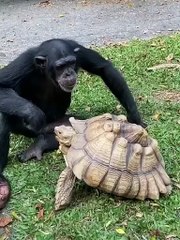 Very very thoughtful, 🥰that's the way god made them🥰