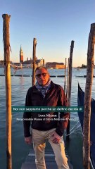 Un delfino nella laguna di Venezia