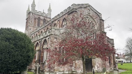 The muffled peal for Remembrance at Crediton Parish Church, video Alan Quick IMG_7524