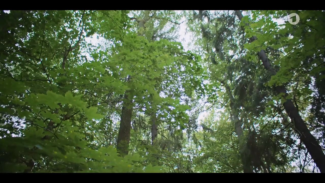 (S01E01) Die Prophezeiung