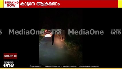 ചാലക്കുടി - മലക്കപ്പാറ അന്തർ സംസ്ഥാനപാതയിൽ വീണ്ടും കാട്ടാന ആക്രമണം....