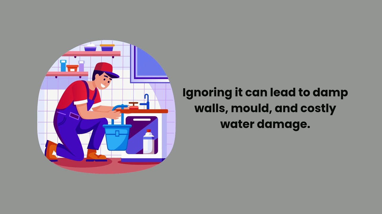 Trusted Plumbers for Leaking Showers| Expert Leaking Shower Repairs in Sydney