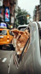 Dog Enjoys Car Ride Looking Out the Window 🐶🚗 | Cute Dog Moments | Funny Pet Video 2025