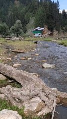 A Hidden Paradise: Exploring Taobat Bala, Neelum Valley"