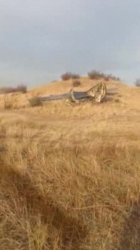 Turkish military plane crashes in Georgia