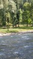 Discover the Untouched Beauty of Taobat Bala, Kashmir