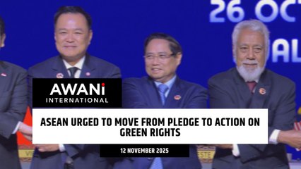 ASEAN urged to move from pledge to action on green rights