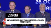 ASEAN urged to move from pledge to action on green rights