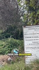 Cirielli - Le ecoballe sono il simbolo del fallimento di chi ha amministrato la regione in questi 10 anni. (09.11.25)