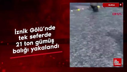 Bursa İznik Gölü'nde tek seferde 21 ton gümüş balığı yakalandı
