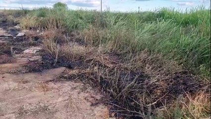 Incêndio em vegetação é registrado na Rua Grande Sertão
