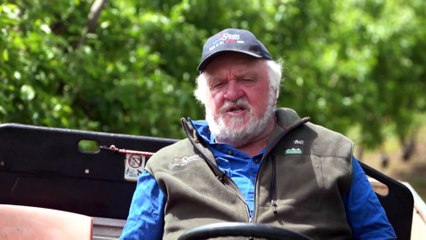 Bilpin apple grower fears mystery failed crop could be linked to varroa mite