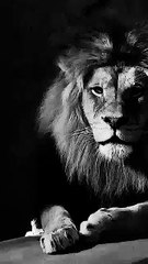 Acting too late can lead to missed opportunities