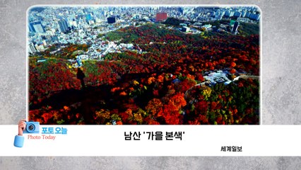 [포토오늘] 남산 '가을 본색'  / YTN
